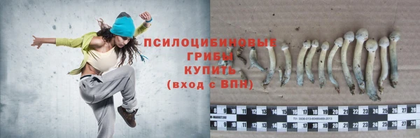 молекула духа Куйбышев