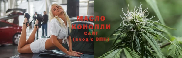 индика Коряжма