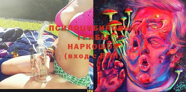 ГАЛЛЮЦИНОГЕННЫЕ ГРИБЫ Корсаков